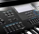 Chuyên nghiệp (Workstation)